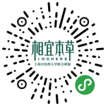 钢铁小姐姐的黑话大全,职场沟通的钢铁利器